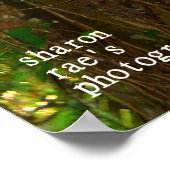 Poster Jungle (Coin)