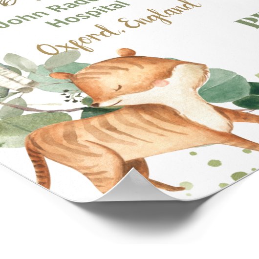 Poster Jungle Animaux Végétation Bébé Naissance Imprimer (Coin)