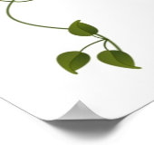 Poster Jungle Babies (Coin)