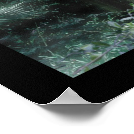 Poster Jungle CyberShaman (Coin)