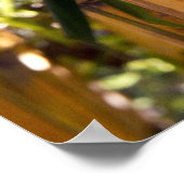 Poster Jungle de Bambou (Coin)