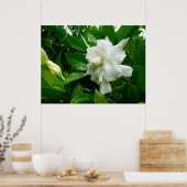 Poster Jungle Gardenia (Cuisine)