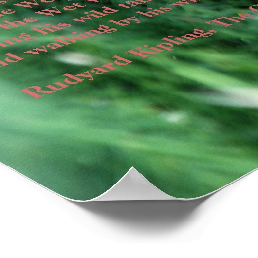 Poster Jungle Legend (Coin)