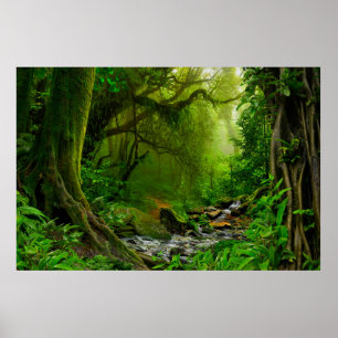 Poster jungle népalaise avec rivière, forêt, sol, rivière