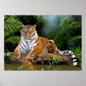 POSTER JUNGLE TIGER (Devant)