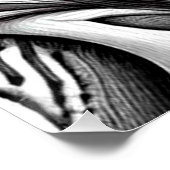 Poster Jungle Toucan (Coin)