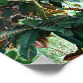 Poster Jungle tropicale verte (Coin)