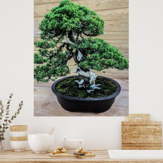 Poster Junier chinois Bonsai Tree (Cuisine)