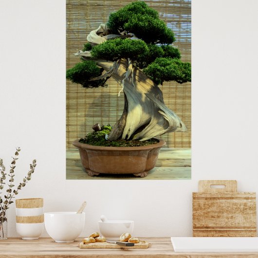 Poster Junier chinois Bonsai Tree (Cuisine)
