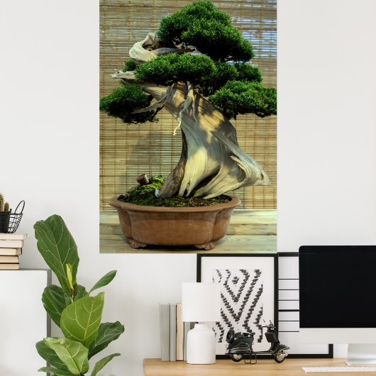 Poster Junier chinois Bonsai Tree (Bureau à domicile)