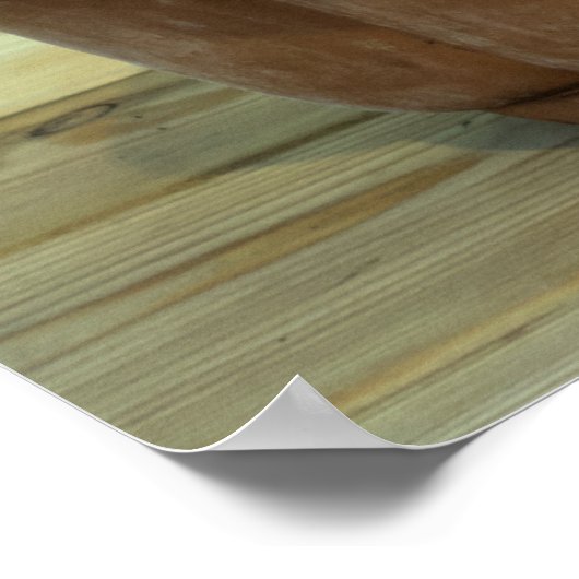 Poster Junier chinois Bonsai Tree (Coin)