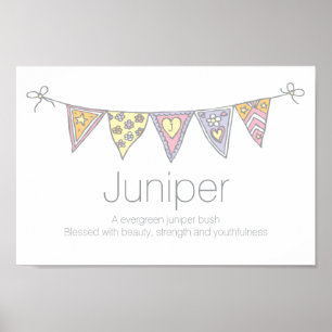 Poster Juniper Girls nom et signification de l'affiche de