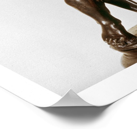 Poster Jupiter (bronze) (Coin)