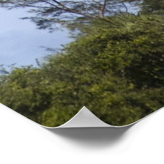 Poster Jupiter Lighthouse (Coin)