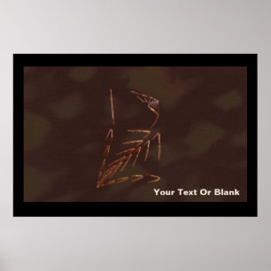 Poster Jurassic fossile