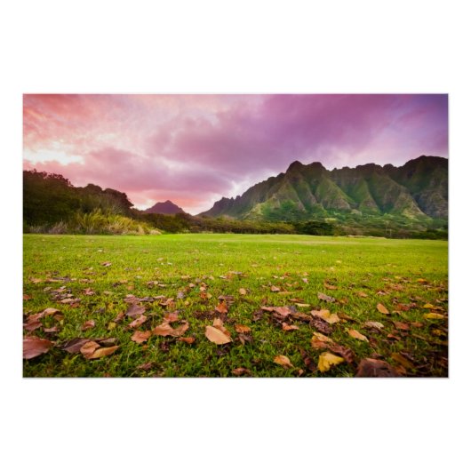 Poster Jurassic Sunset (Devant)