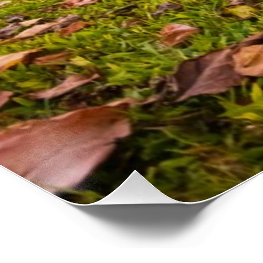 Poster Jurassic Sunset (Coin)