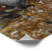 Poster Jurassic Times. (Coin)