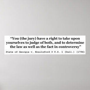 Poster Jury Nullification State of Georgia vs Brailsford