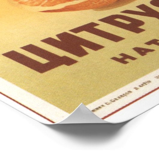 Poster Jus d'agrumes (Coin)