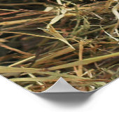 Poster Jus de lait blanc rustique avec fleurs orange Phot (Coin)