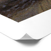 Poster Jus rural (Coin)