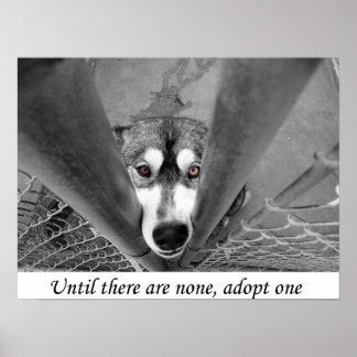 Poster Jusqu'à ce qu'il n'y en ait pas, en adopter un
