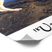 Poster Jusqu'à ce qu'il n'y en ait pas, en adopter un (Coin)