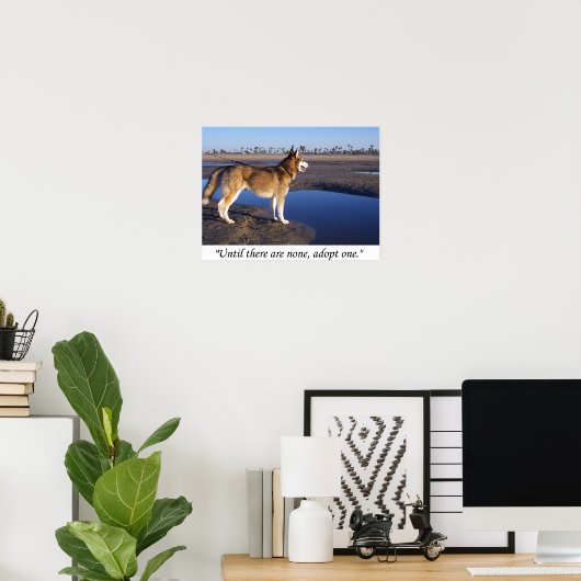 Poster Jusqu'à ce qu'il n'y en ait pas, en adopter un (Bureau à domicile)