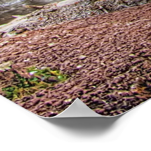 Poster Jusqu'à Gooseberry Falls (Coin)