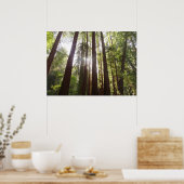 Poster Jusqu'aux Séquoias le Matin (Cuisine)