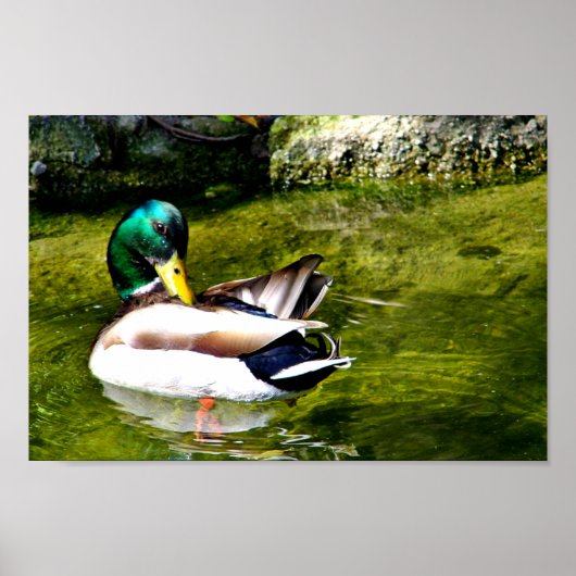 Poster Just Wondering_ (Devant)
