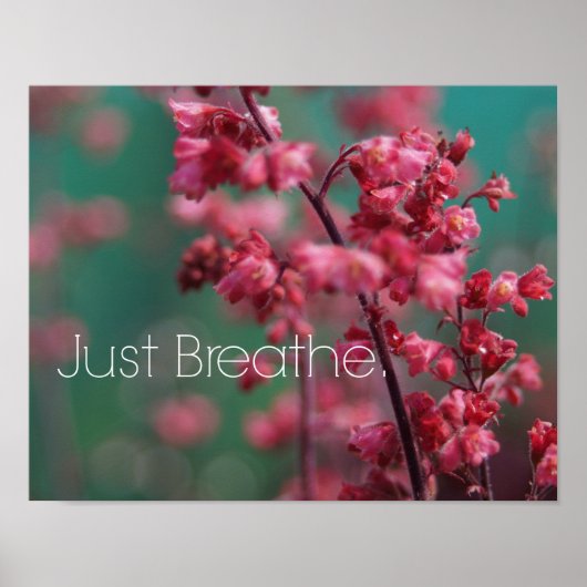 Poster Juste Breathe (Devant)