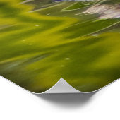 Poster Juste Ducky (Coin)