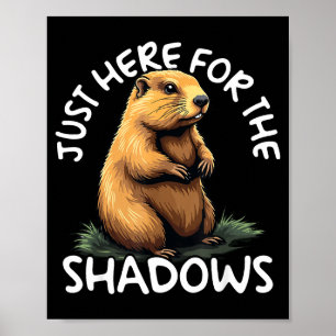 Poster Juste ici pour les ombres drôle de jour de la marm