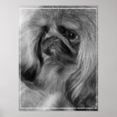 Poster Juste Jeroen (Devant)