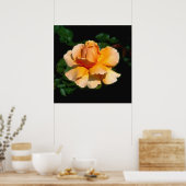 Poster Juste Joey rose à thé hybride (Cuisine)