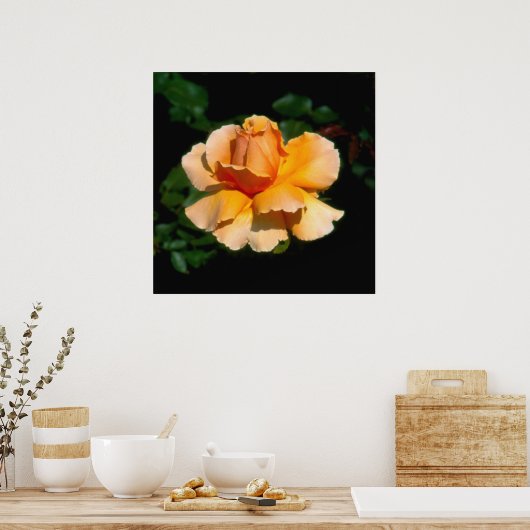 Poster Juste Joey rose à thé hybride (Cuisine)