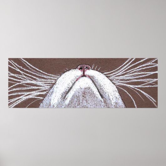 POSTER JUSTE LES CHATS WHISKERS 2 (Devant)