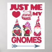 Poster Juste moi et mes Gnomes (Devant)