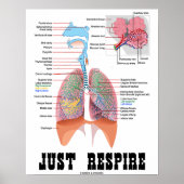 Poster Juste Respire (Système Respiratoire) (Devant)