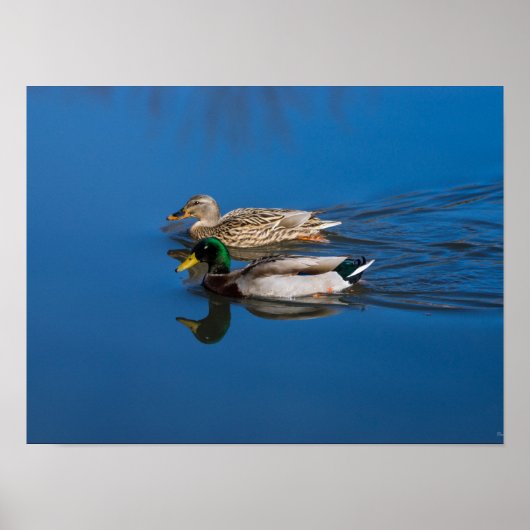 Poster Juste Toi Et Moi (Devant)