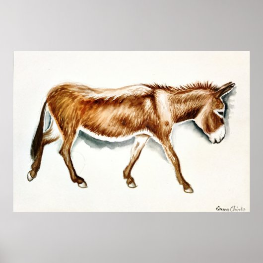 Poster Juste un âne (Devant)