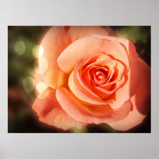 Poster Juste un rose