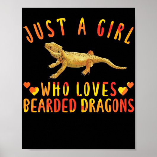 Poster Juste Une Fille Qui Aime Le Lizard De Dragons Emba (Devant)