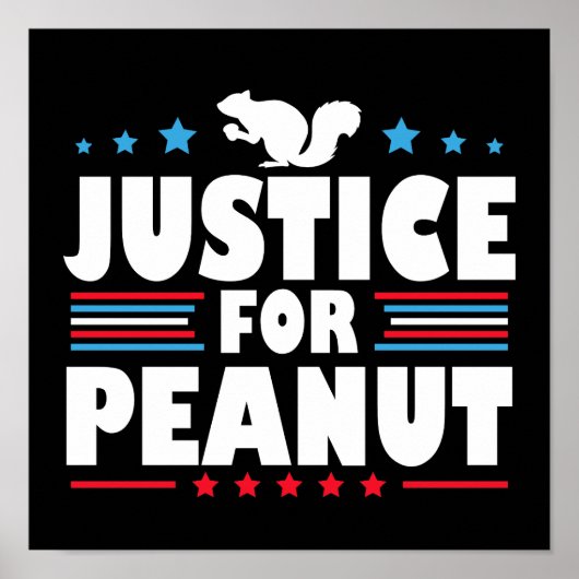 Poster Justice pour Peanut l'écureuil (Devant)