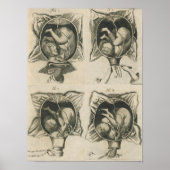 Poster Justine Siegemund Cour - Grossesse de naissance d' (Devant)