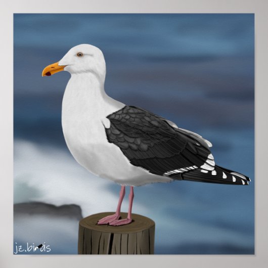 Poster jz.birds Möwe (Devant)
