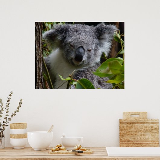 Poster k pour koala (Cuisine)