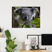 Poster k pour koala (Bureau à domicile)